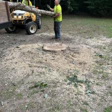 Tree-Removal-and-Stump-Grinding-in-Denton-MD 5